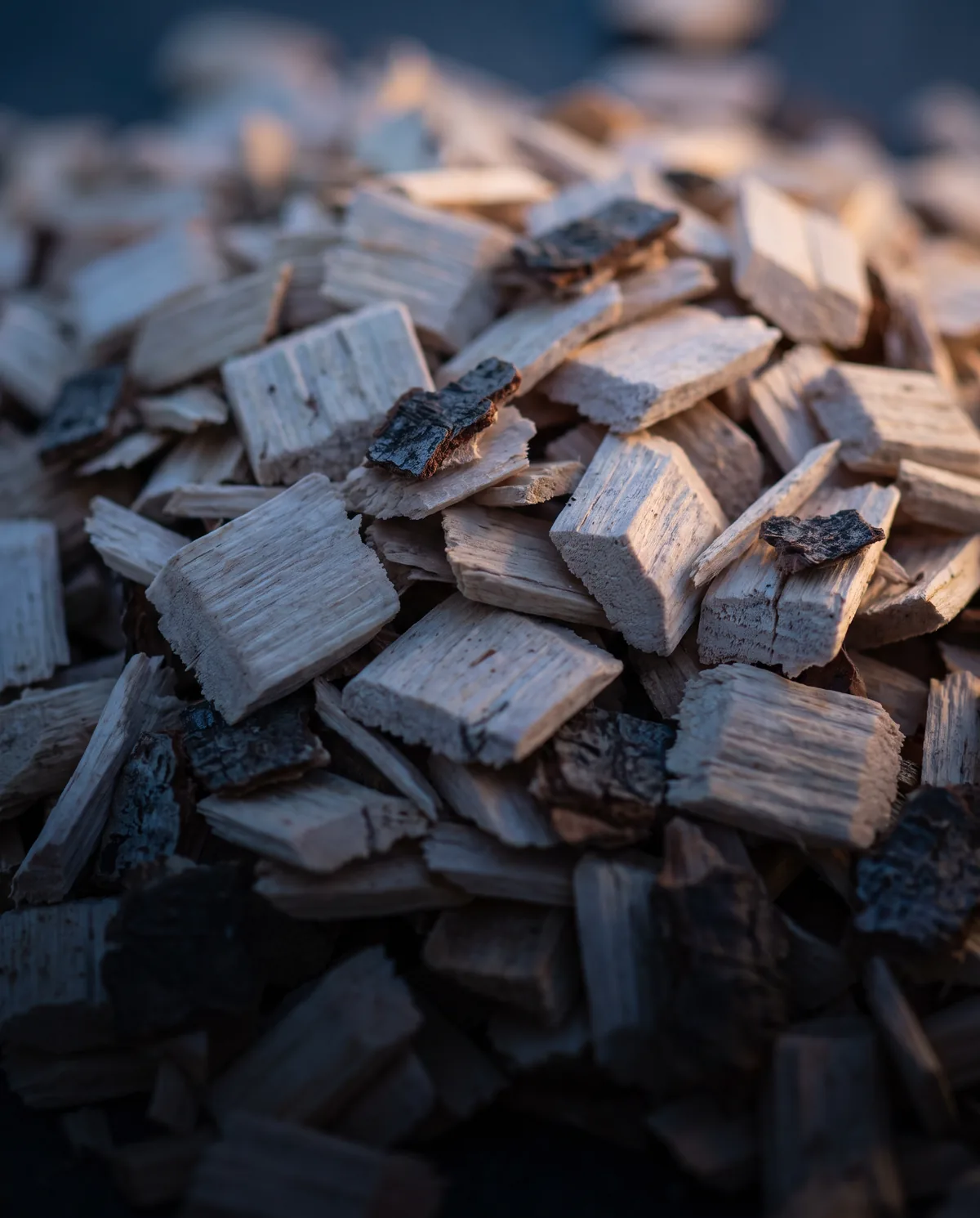 Close-up of birch and spruce wood chips