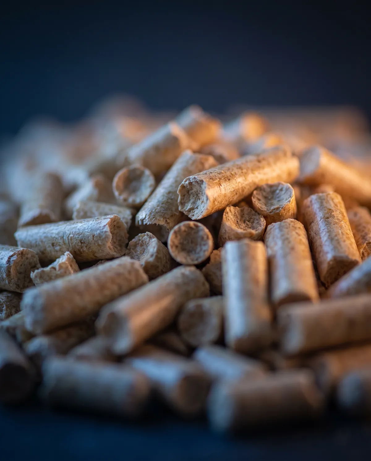 Close-up of wood pellets