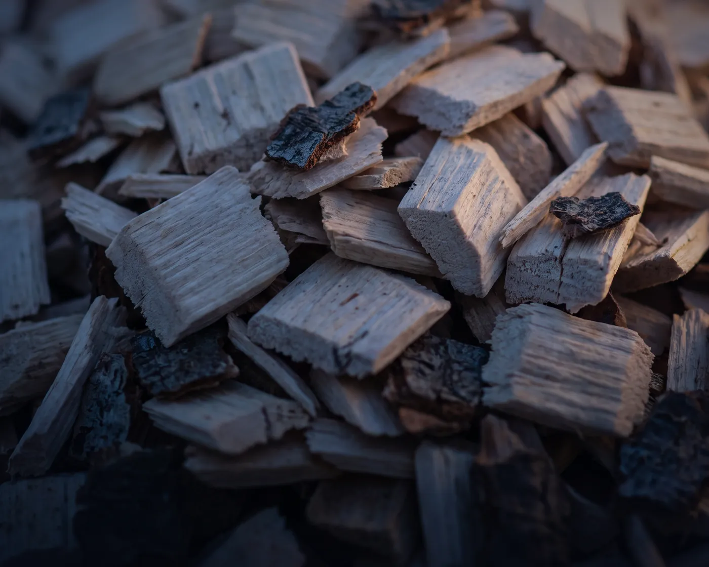 Close-up of dry wood chips