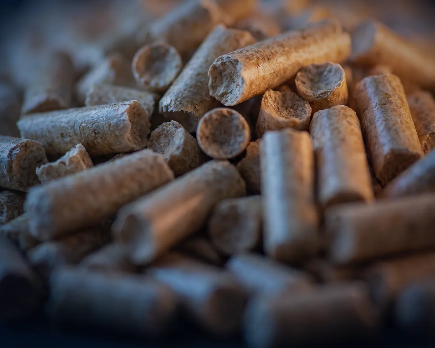Close-up of wood pellets