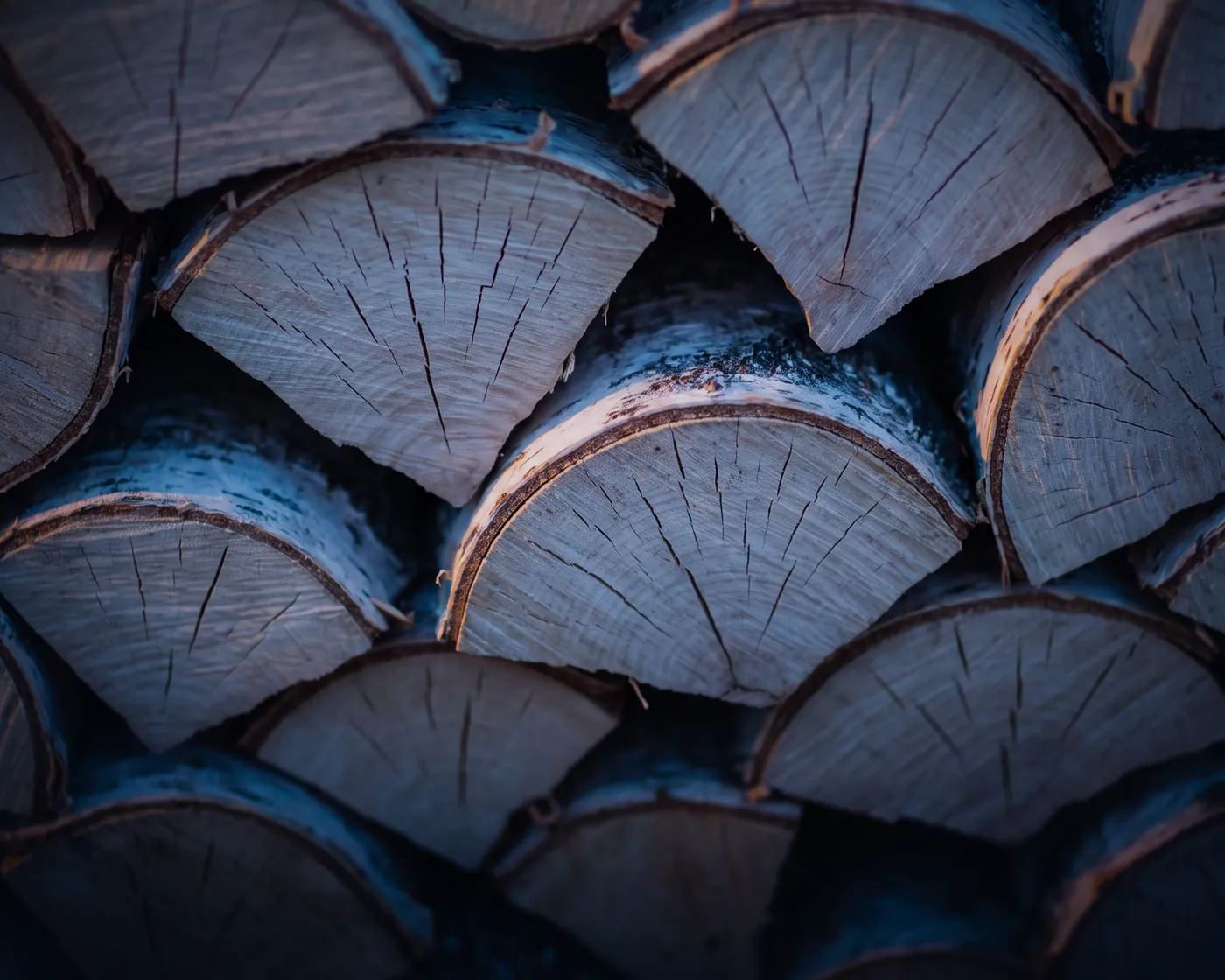 Stacked split birch firewood