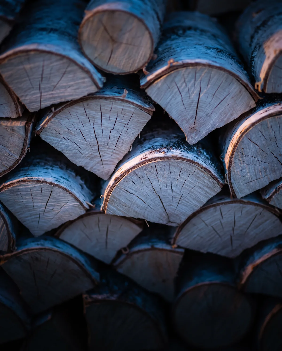 Stacked split birch firewood with the growth rings visible
